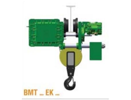 Тали электрические взрывозащищенные передвижные тип "BMT" с УСВ монорельсовой тележкой (уменьшенная строительная высота) тип "ВМТ" с УСВ